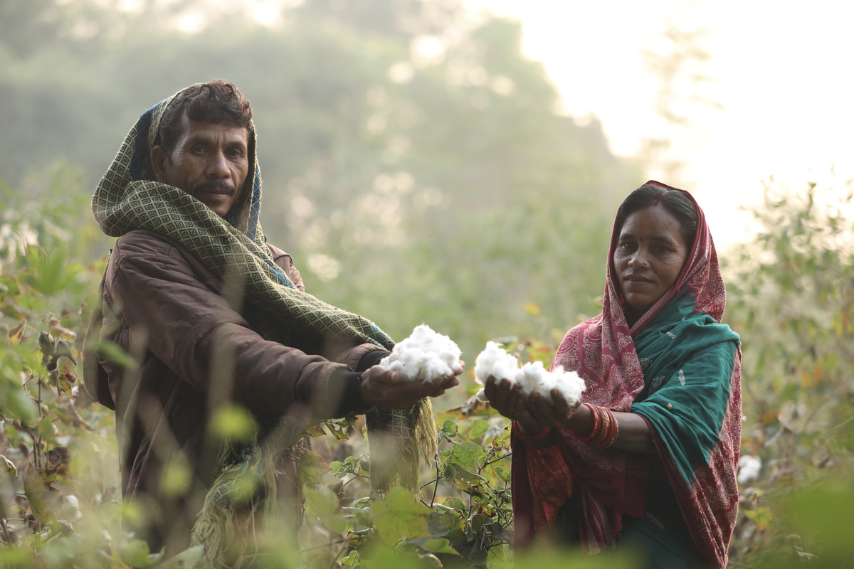 What is Regenerative Farming and Why Does it Matter for Corporate Gift Sourcing?