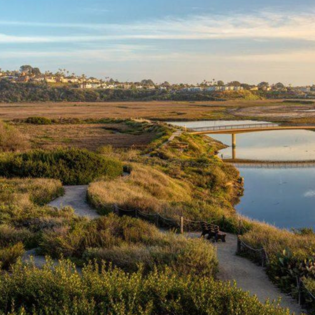 Redeem for Charity Impact: Restore 1 foot of Coastal Watershed