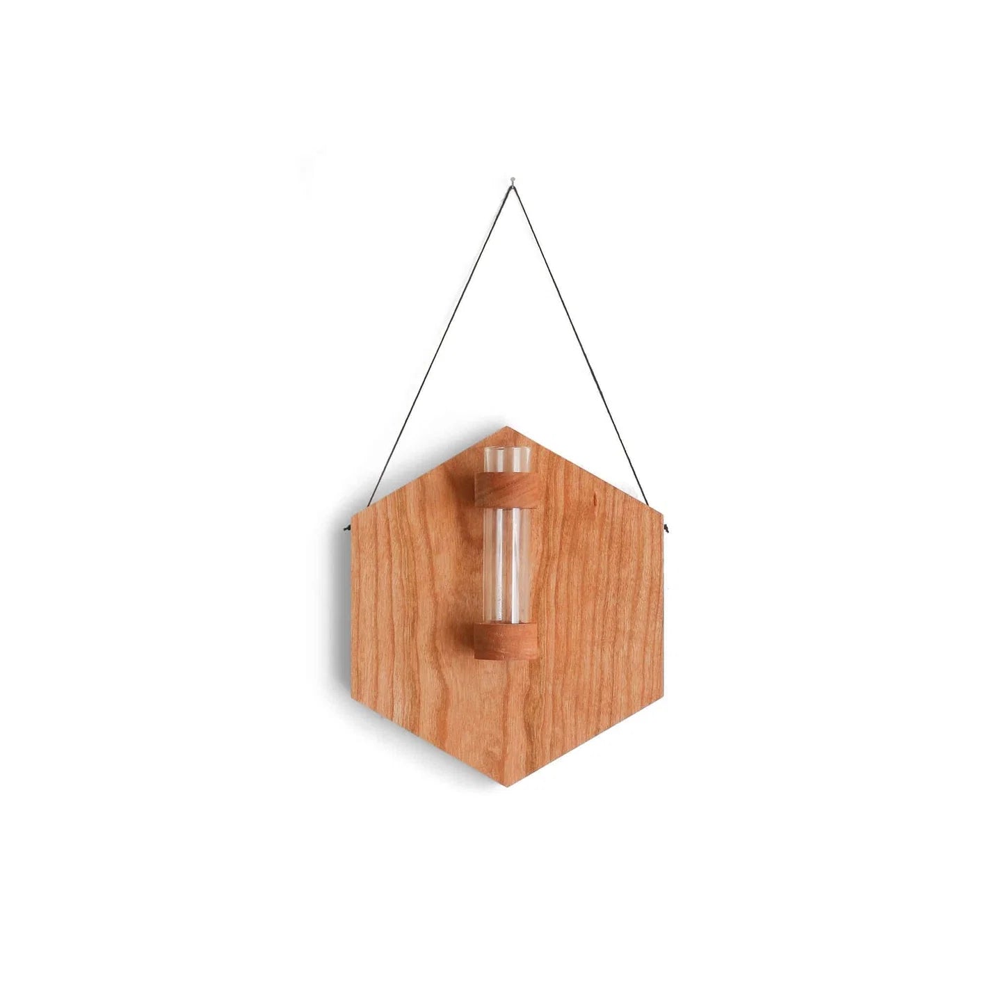 Hexagon Propagation Station With Lavender
