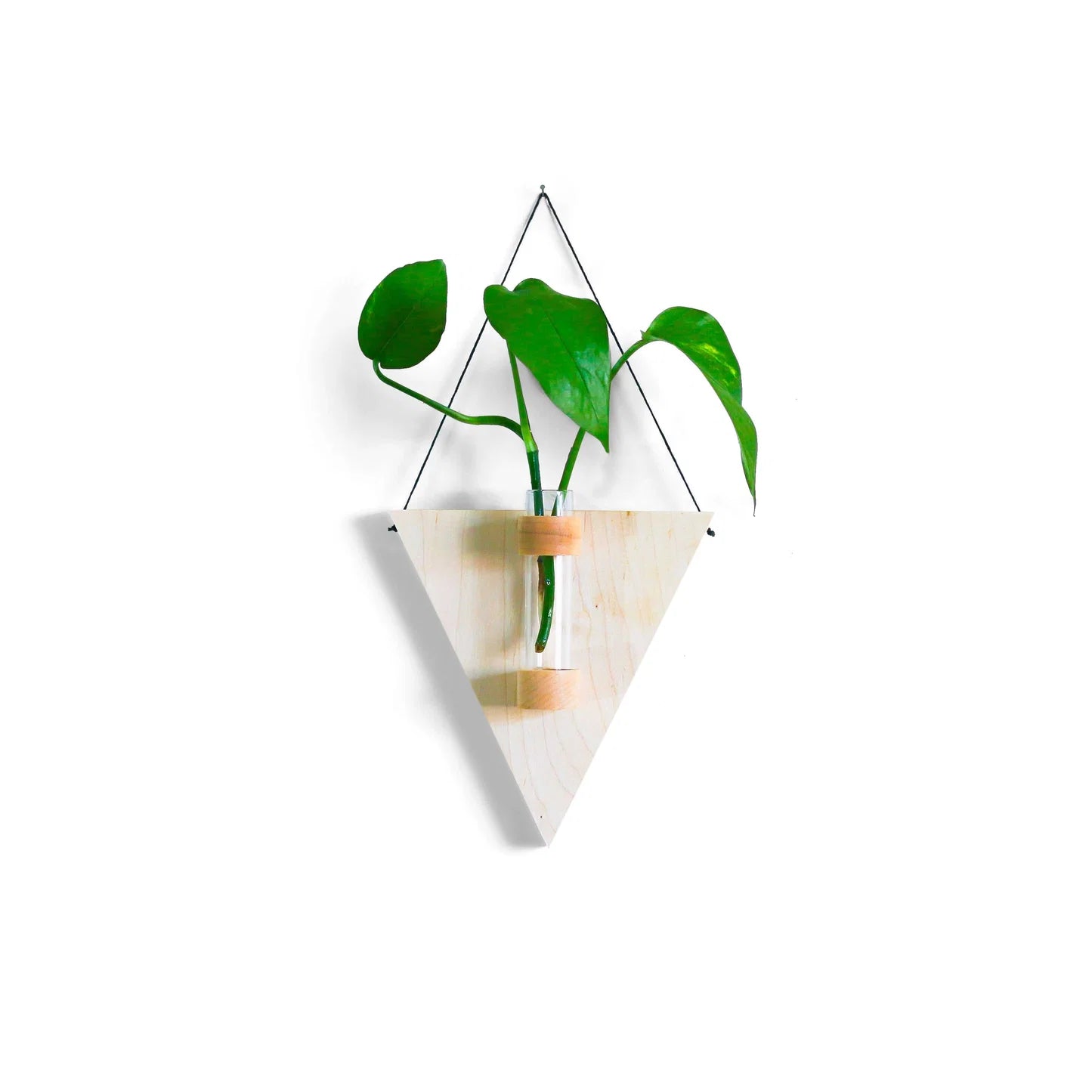 Triangle Propagation Station With Lavender