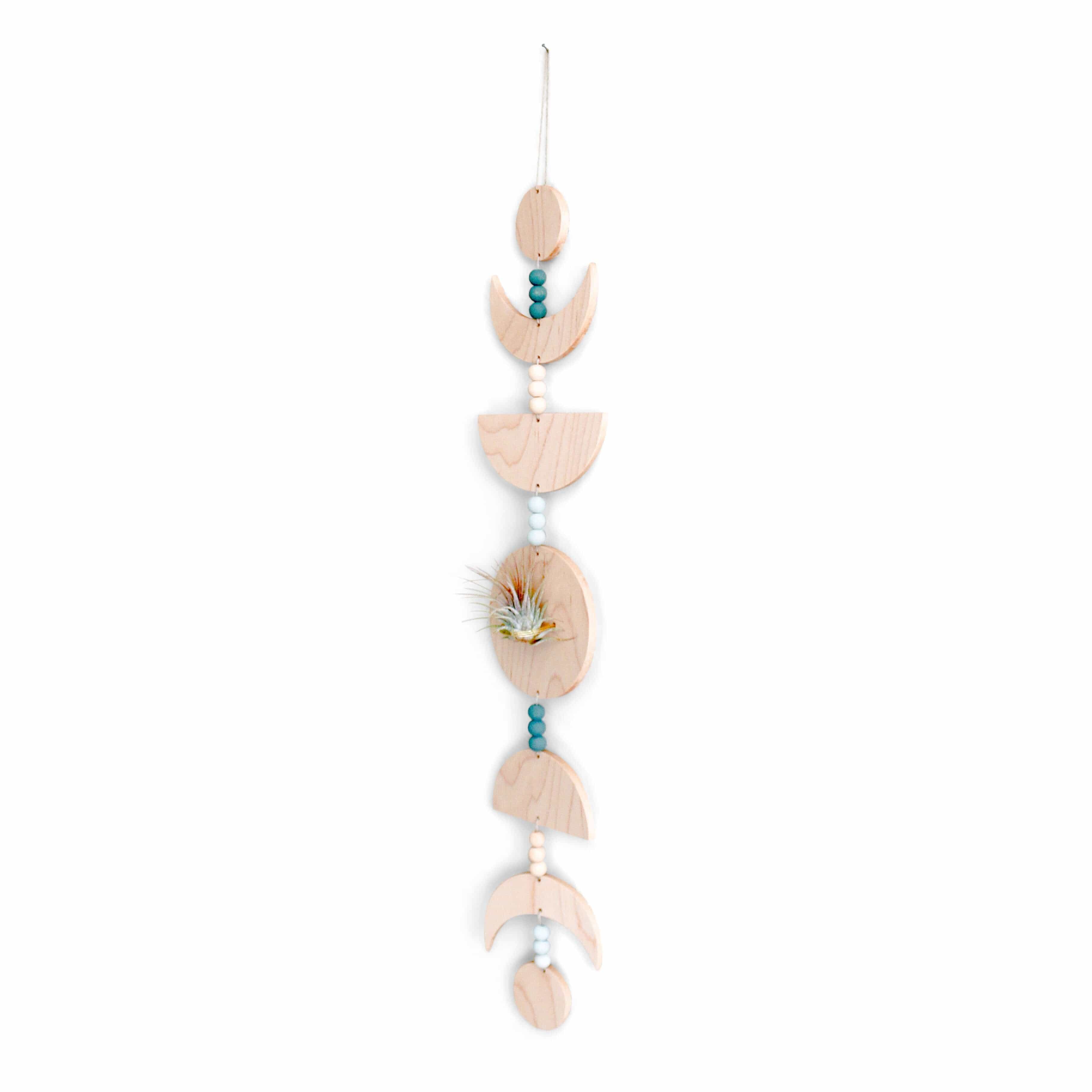 Moon Phases Holder With Air Plant