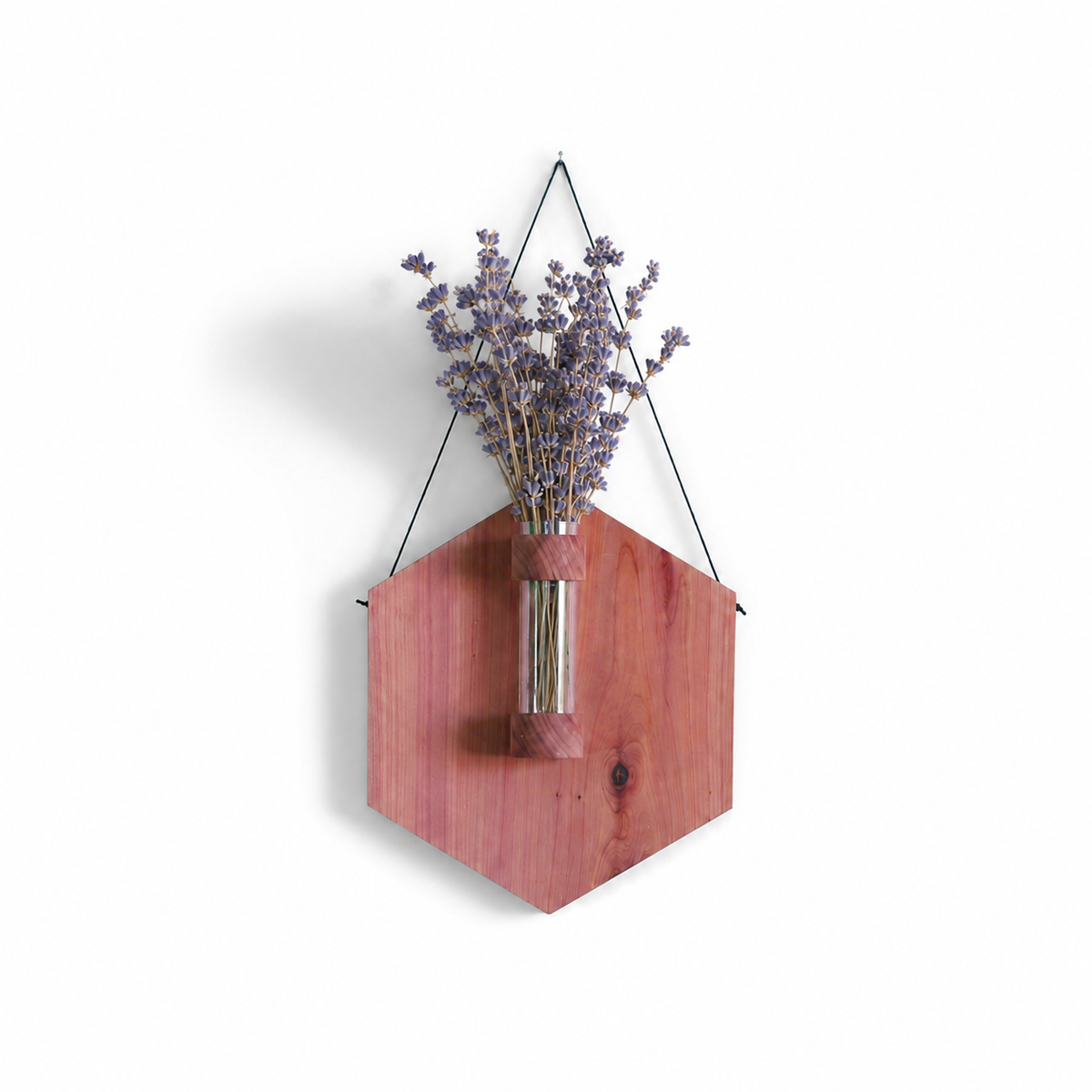 Hexagon Propagation Station With Lavender