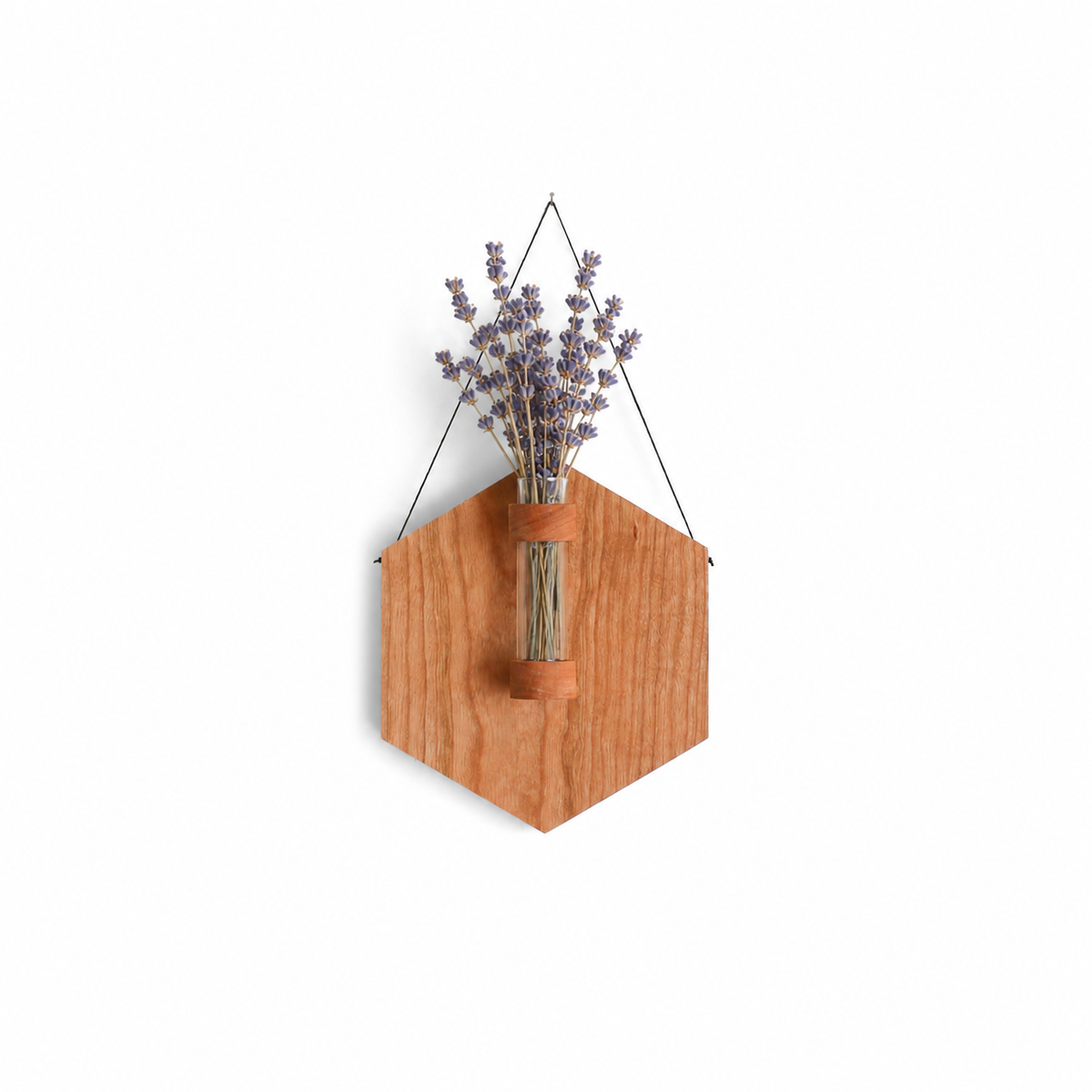 Hexagon Propagation Station With Lavender