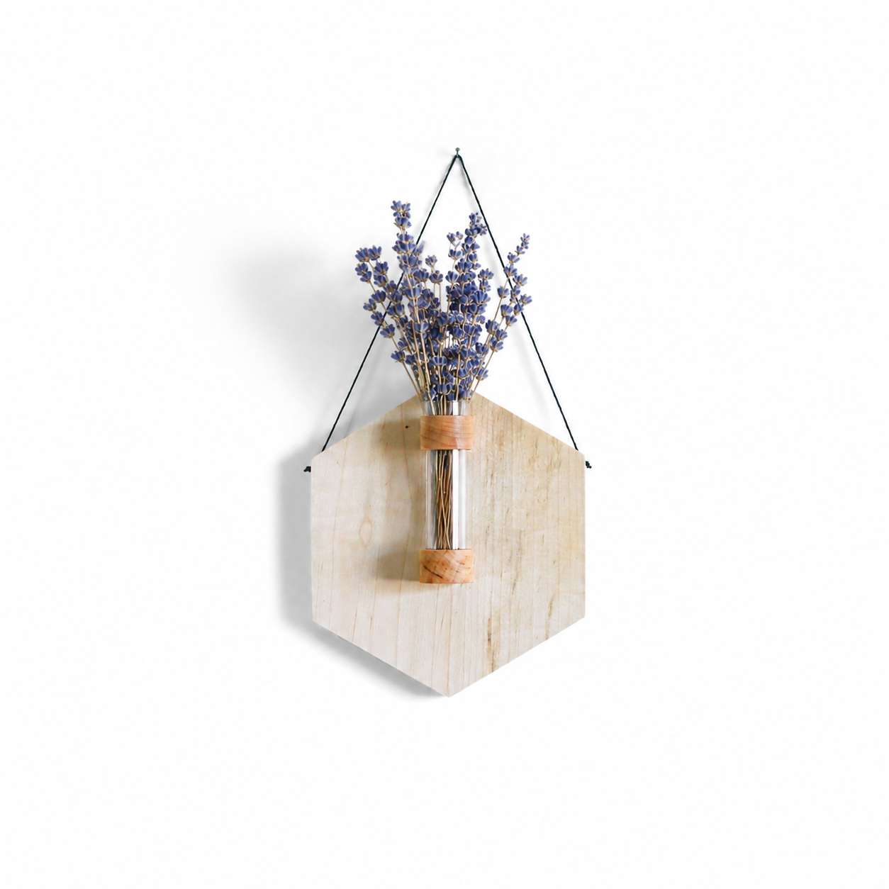 Hexagon Propagation Station With Lavender