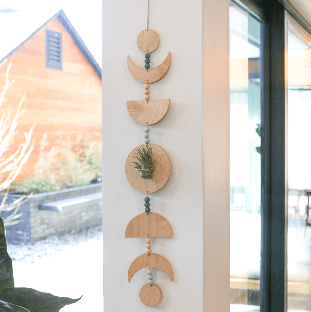 Moon Phases Holder With Air Plant