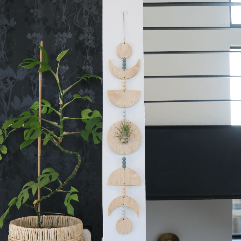 Moon Phases Holder With Air Plant