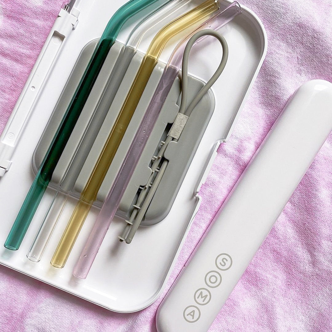 Travel Straw Set of Four