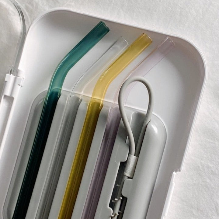 Travel Straw Set of Four