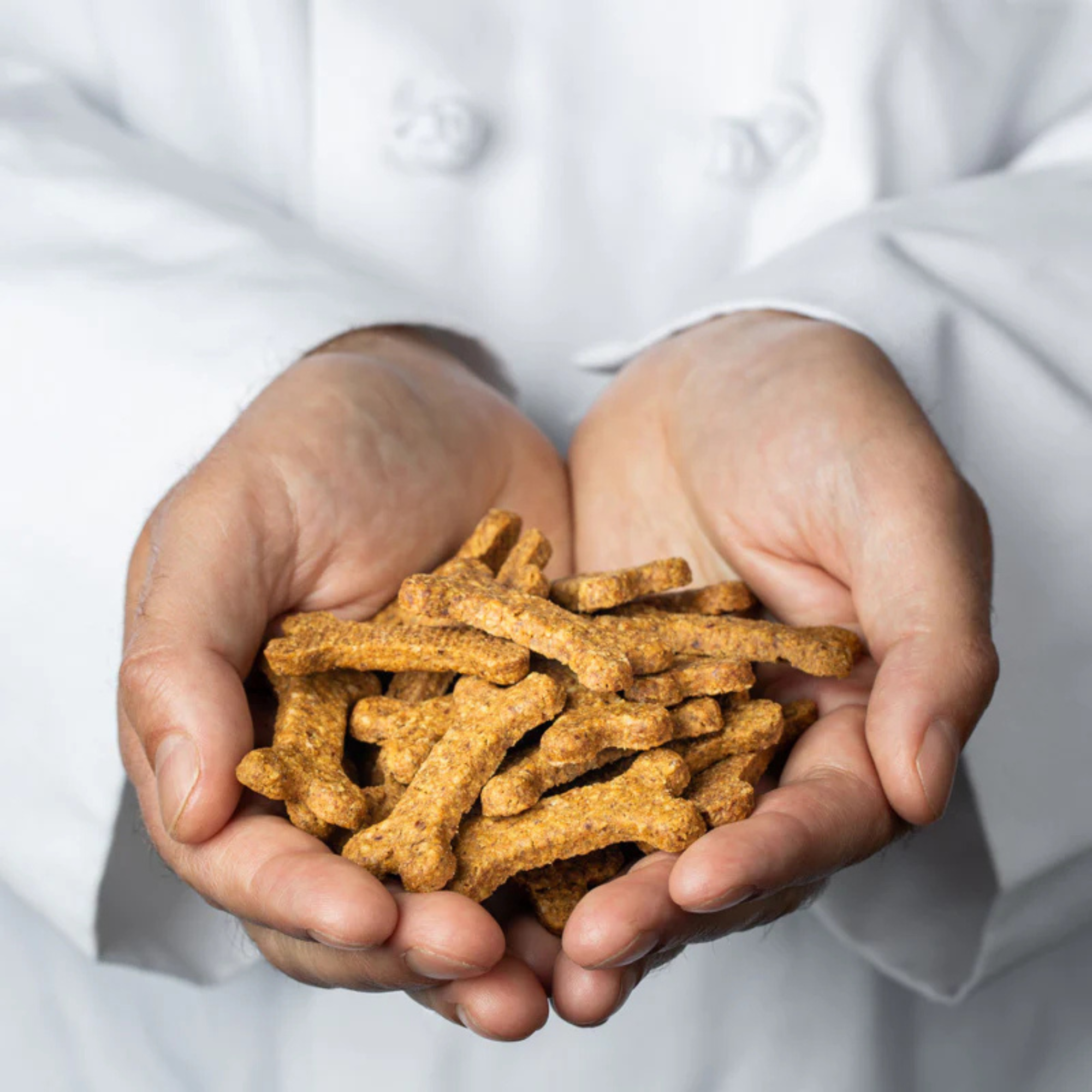 Wagster Twin-Pack Dog Treats