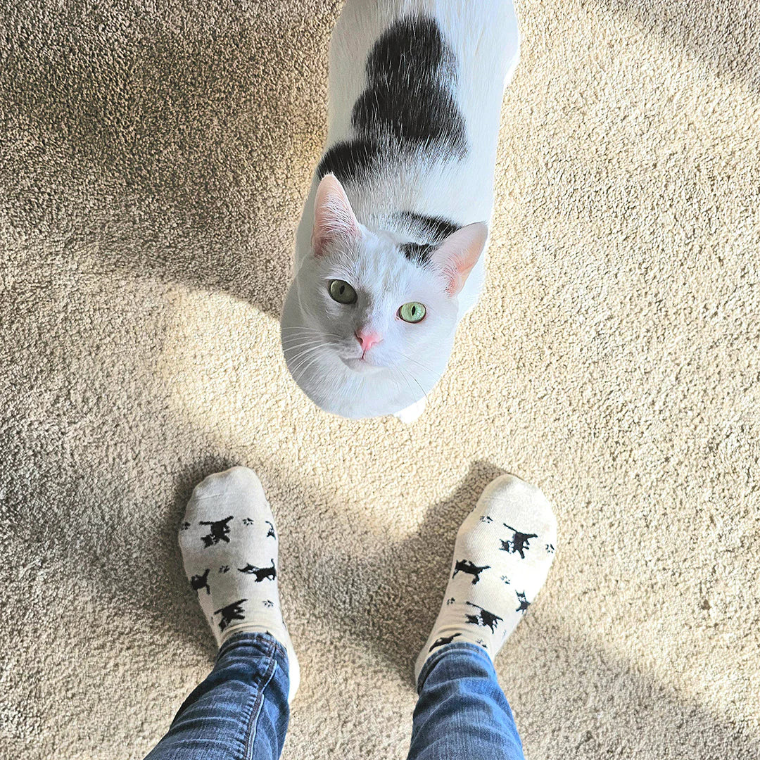 Socks that Save Cats (Select from 4 Designs)