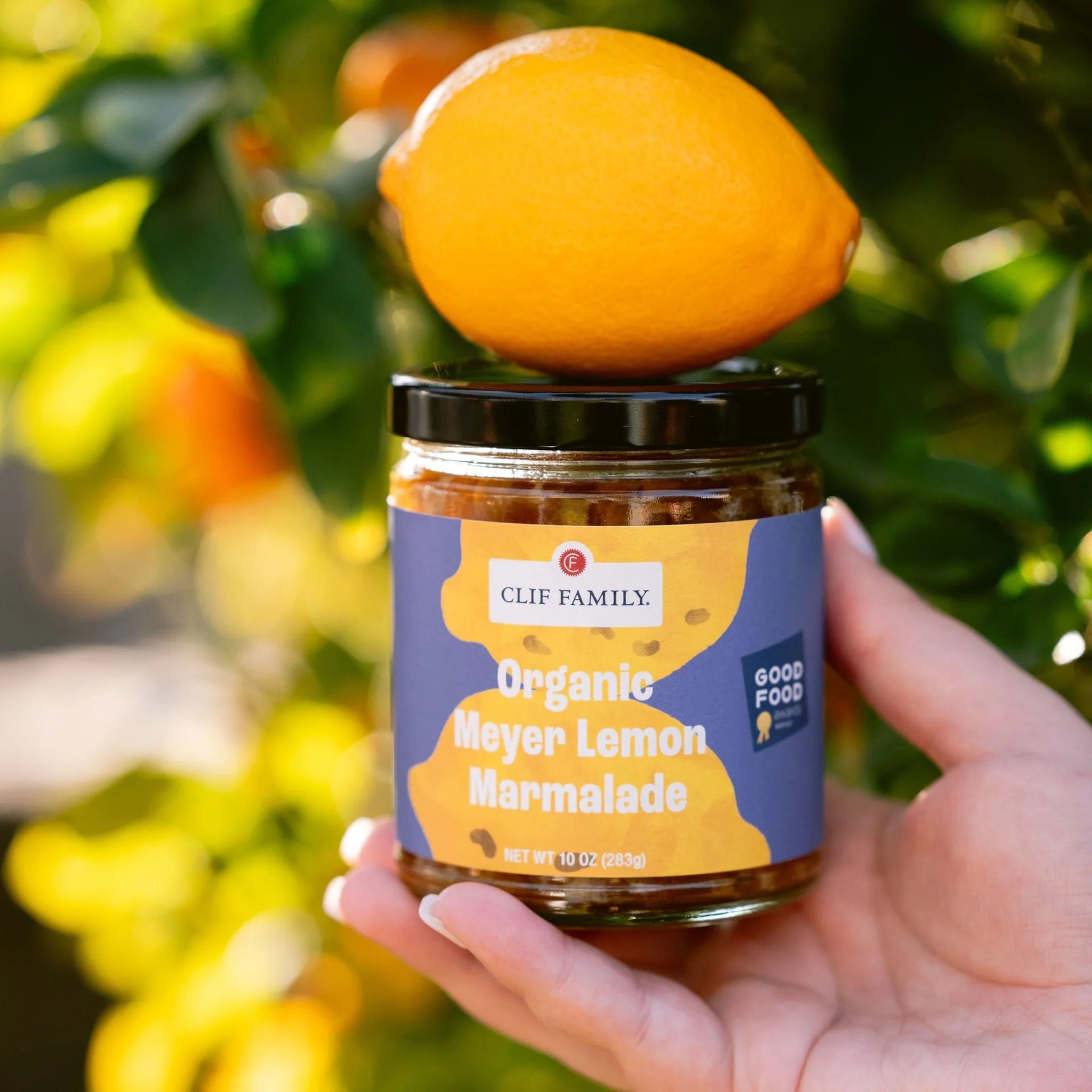 Organic Artisan Jam