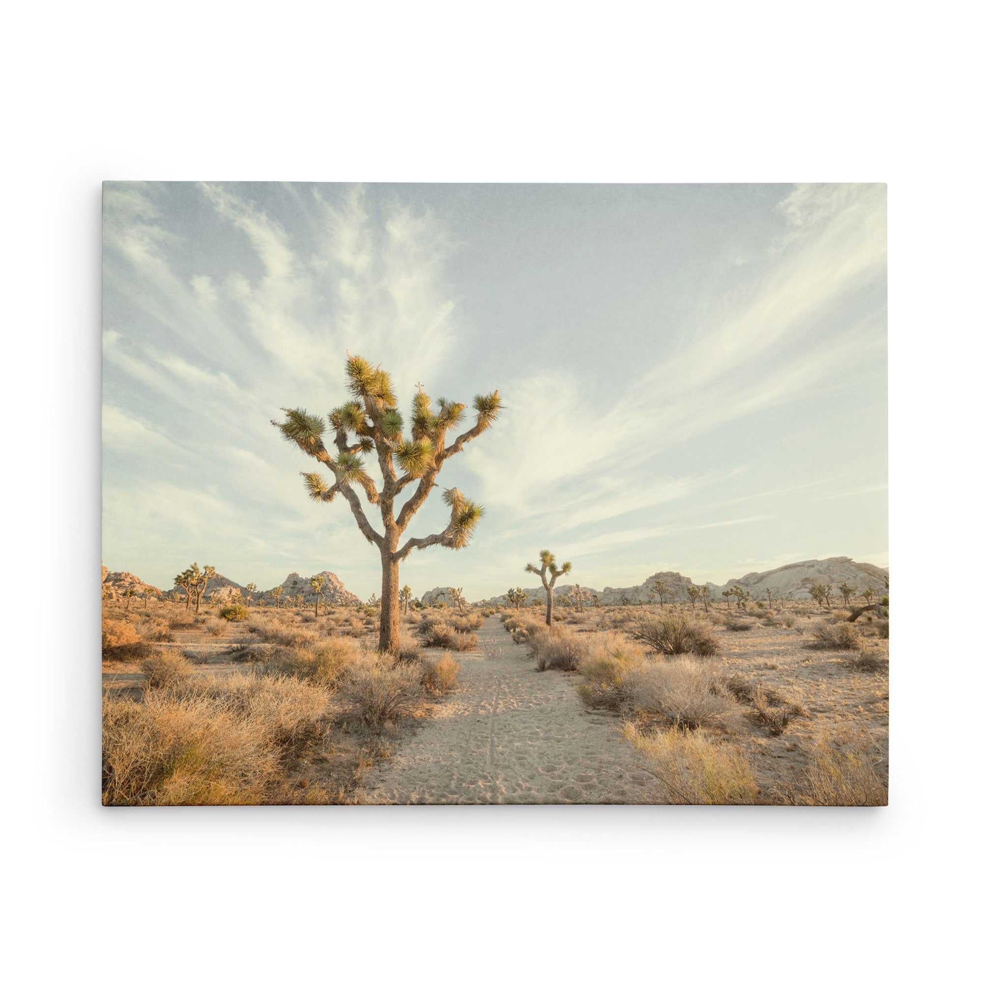 16x20 California Canvas Print | Sustainable Wall Art
