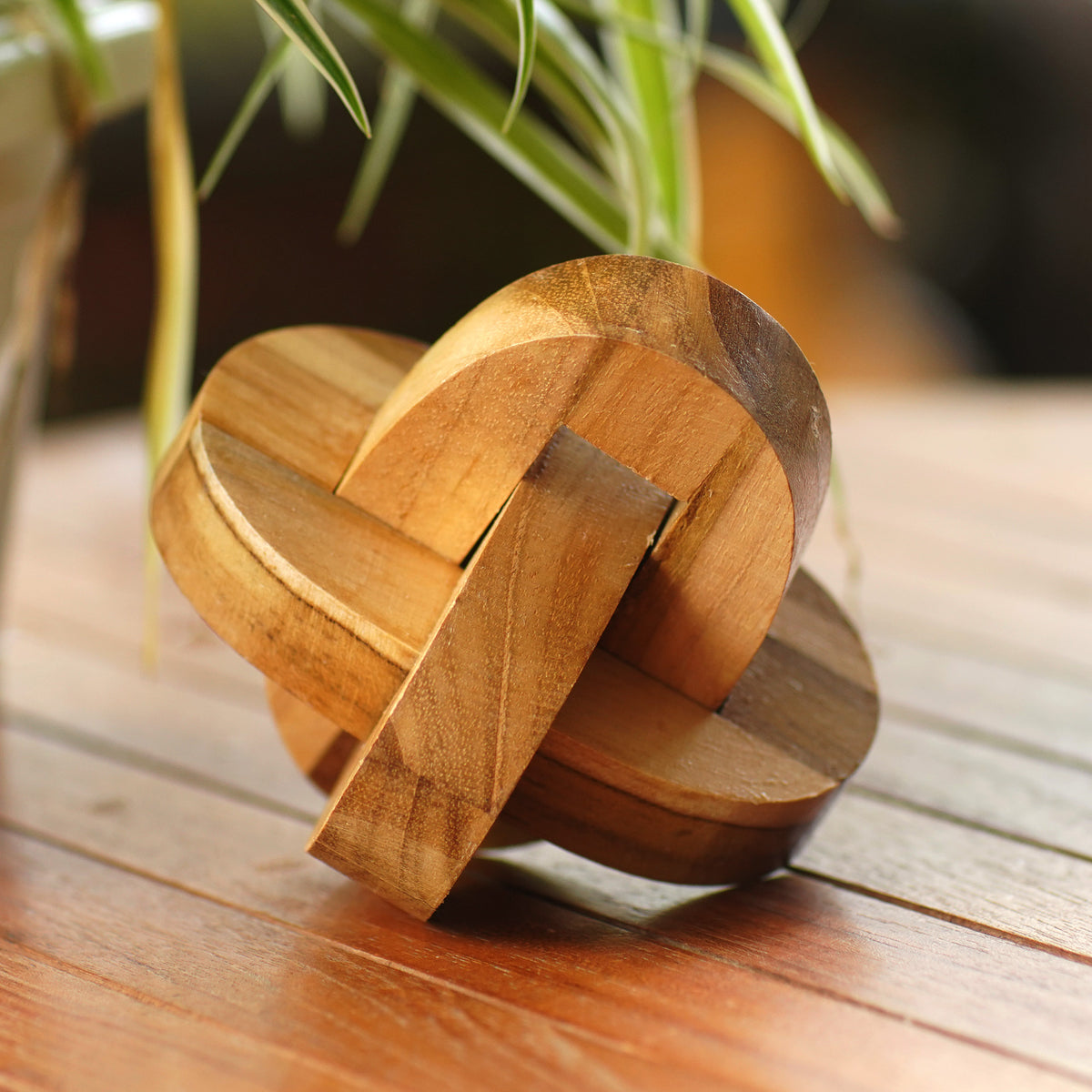 Chain Hook - A Small Wooden Pub Game Puzzle from Javanese Artisan