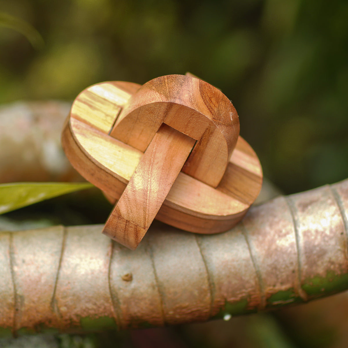 Chain Hook - A Small Wooden Pub Game Puzzle from Javanese Artisan