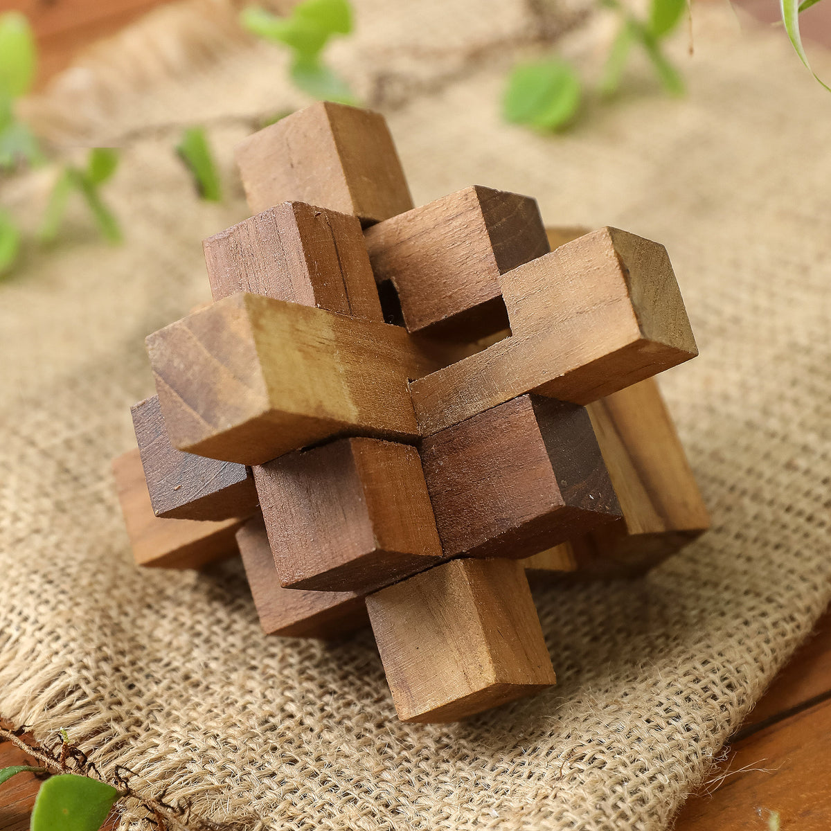 Challenge - a Hand Crafted Recycled Teak Wood Puzzle from Java