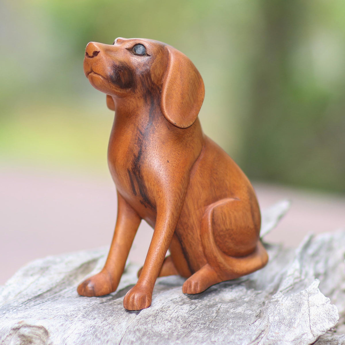 Loyal Dog - An Artisan Handcrafted Suar Wood Dog Sculpture from Bali