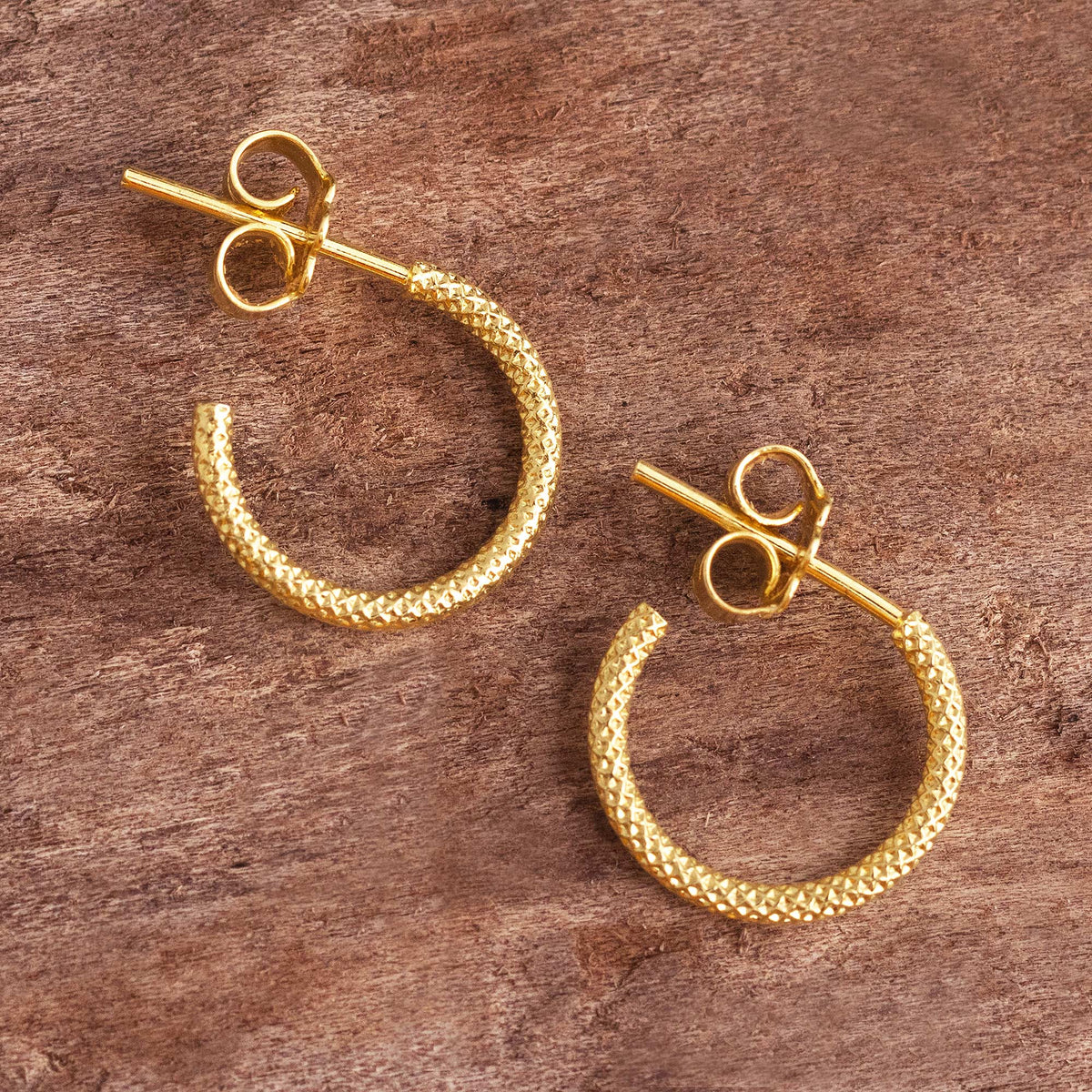 Stunning Pair of Earrings - the Textured Gold-Plated Earrings