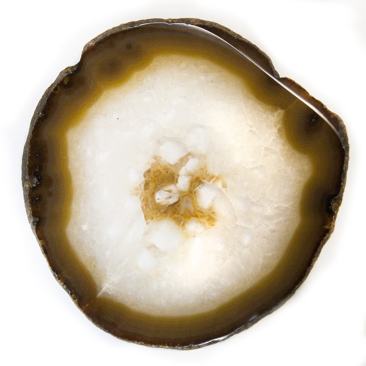 Home Full of Gratitude