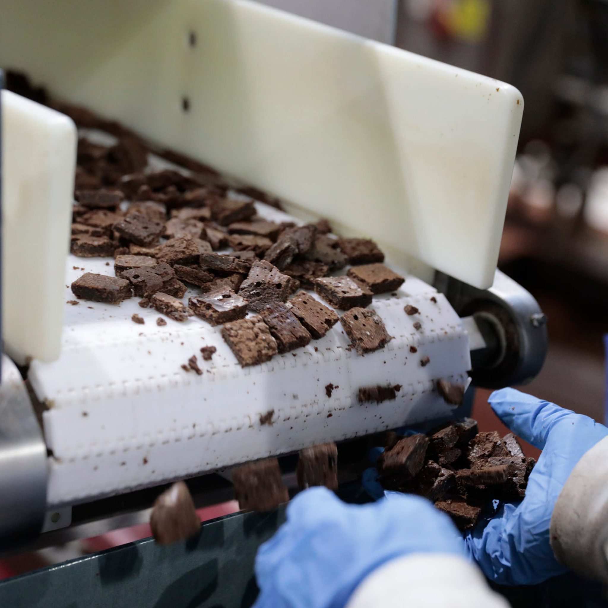 Decadent Dozen Brownie Tin