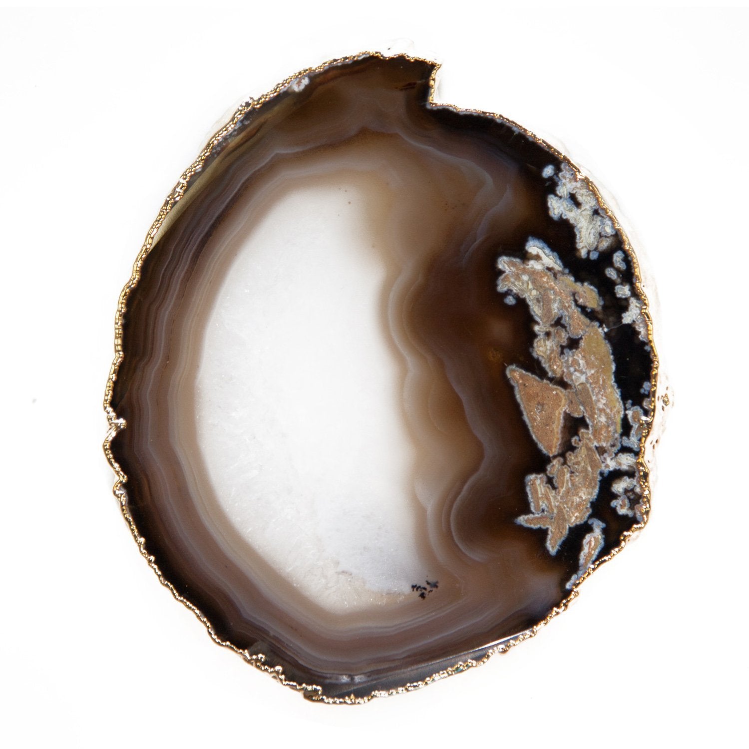 Home Full of Gratitude