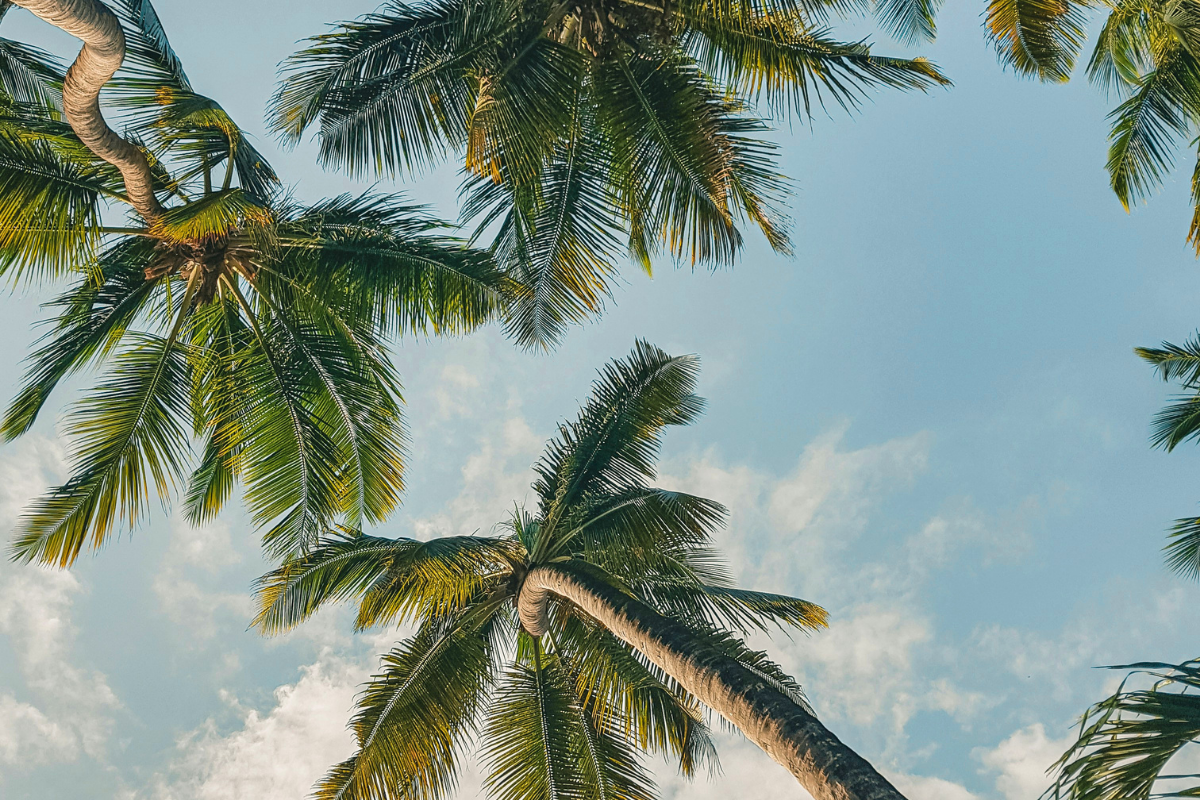 Gifts for Good Climate Action Plan: Leading by Example