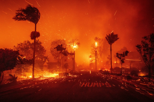 'A Love Letter to Past and Present Homes on Fire' Our CEO's Personal Account of the LA Fires