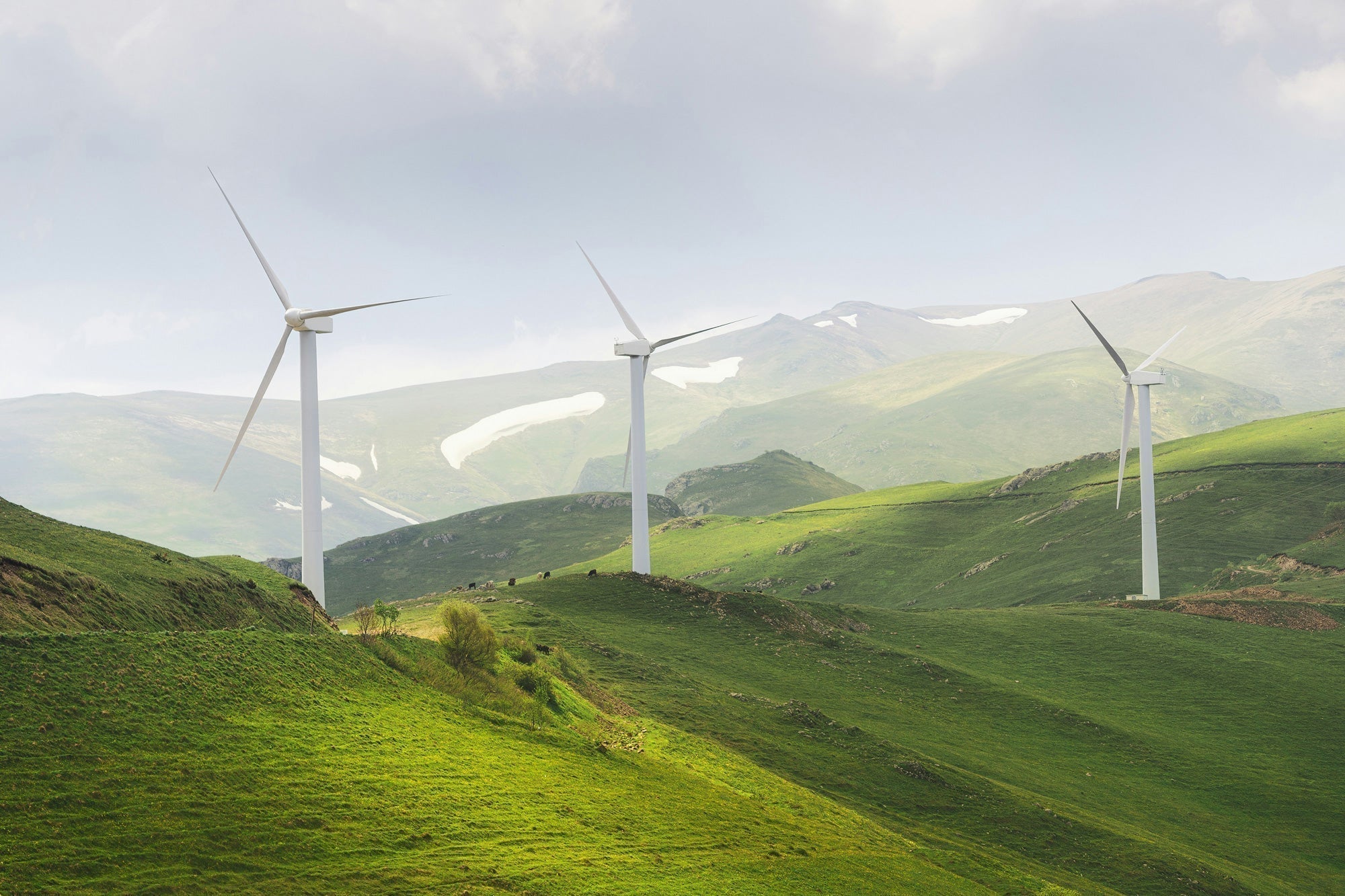 Gifts for Good Achieves Climate Label Certification