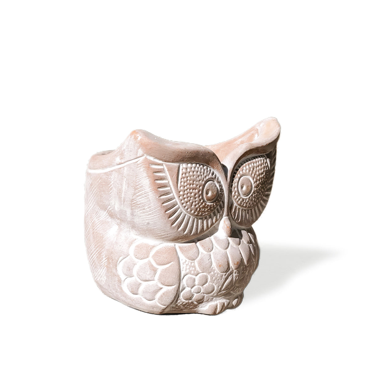 Big Eye Owl Terracotta Pot
