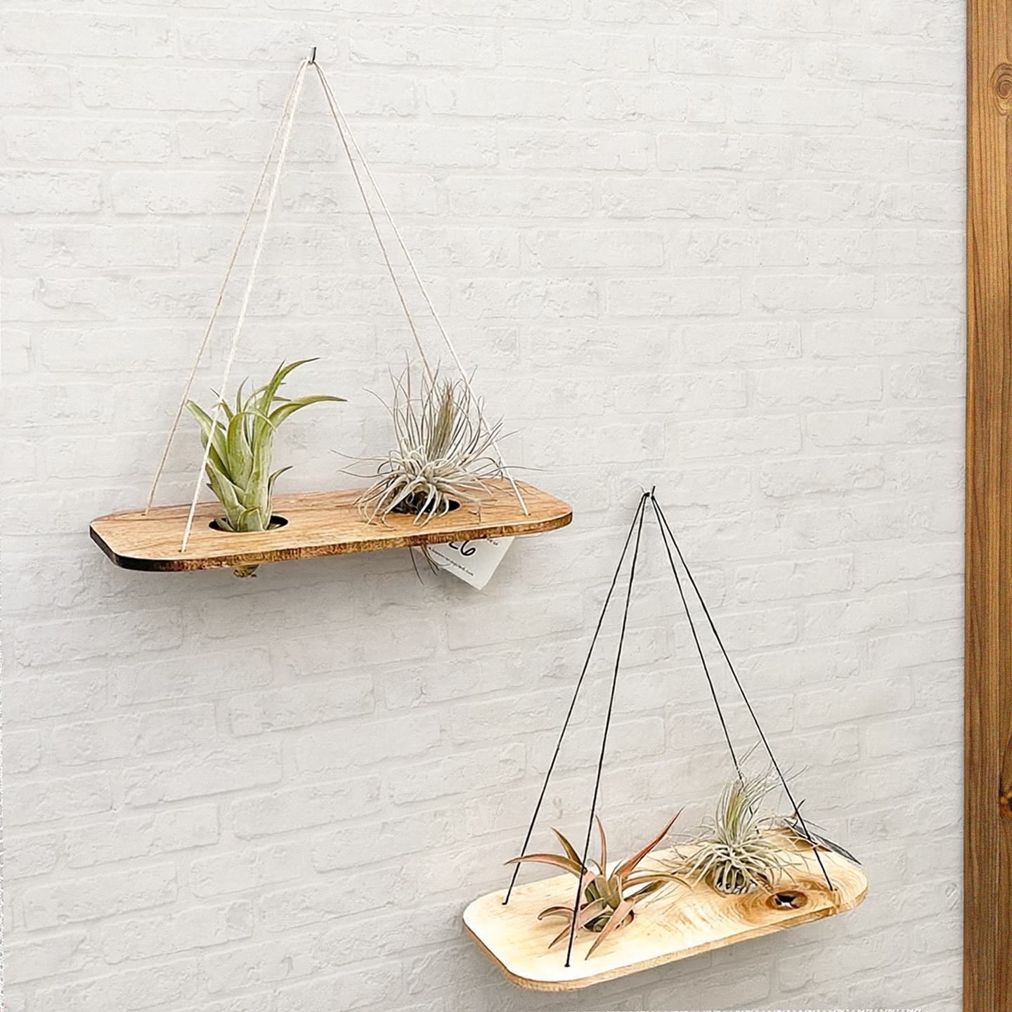 Double Swing With Air Plants