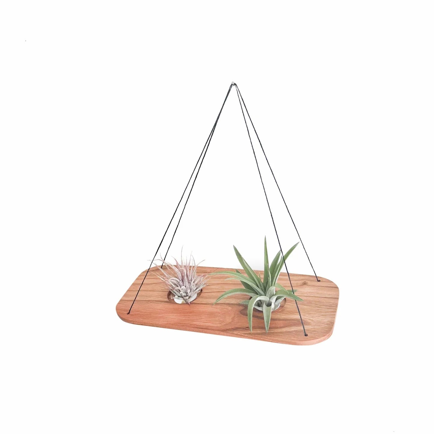 Double Swing With Air Plants