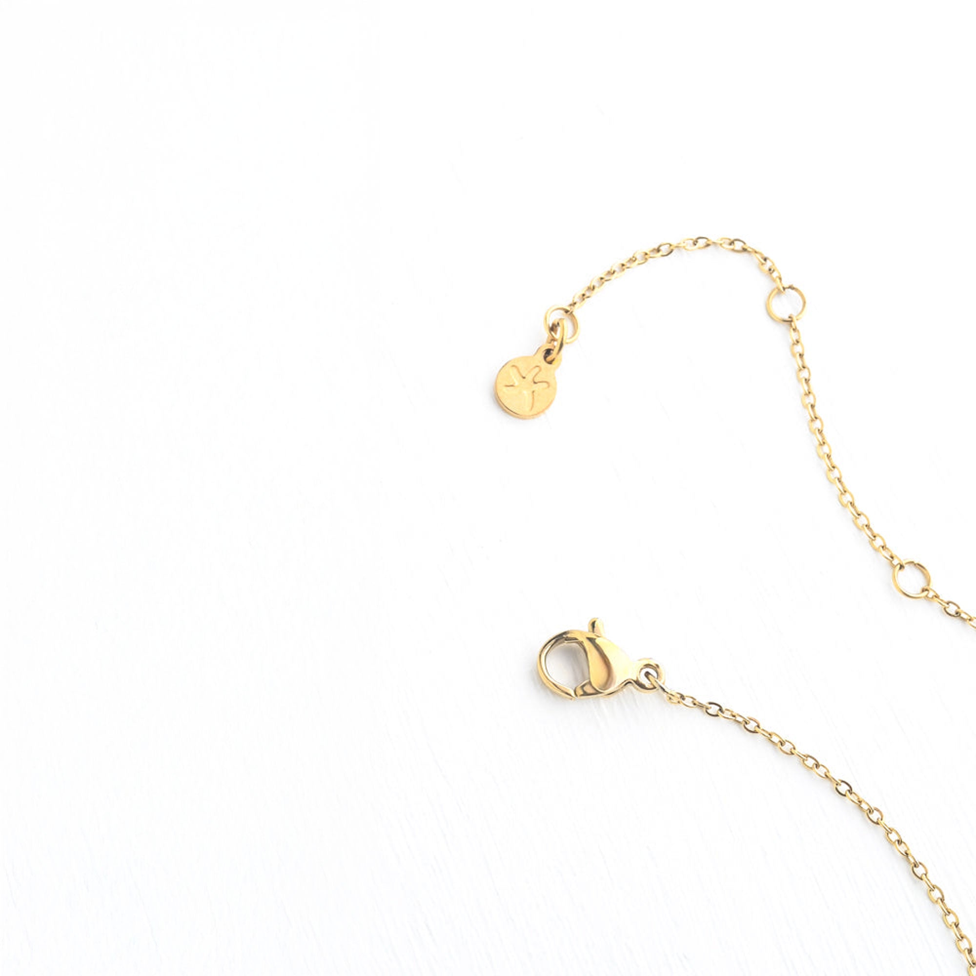 Everlasting Teardrop Necklace in Amazonite