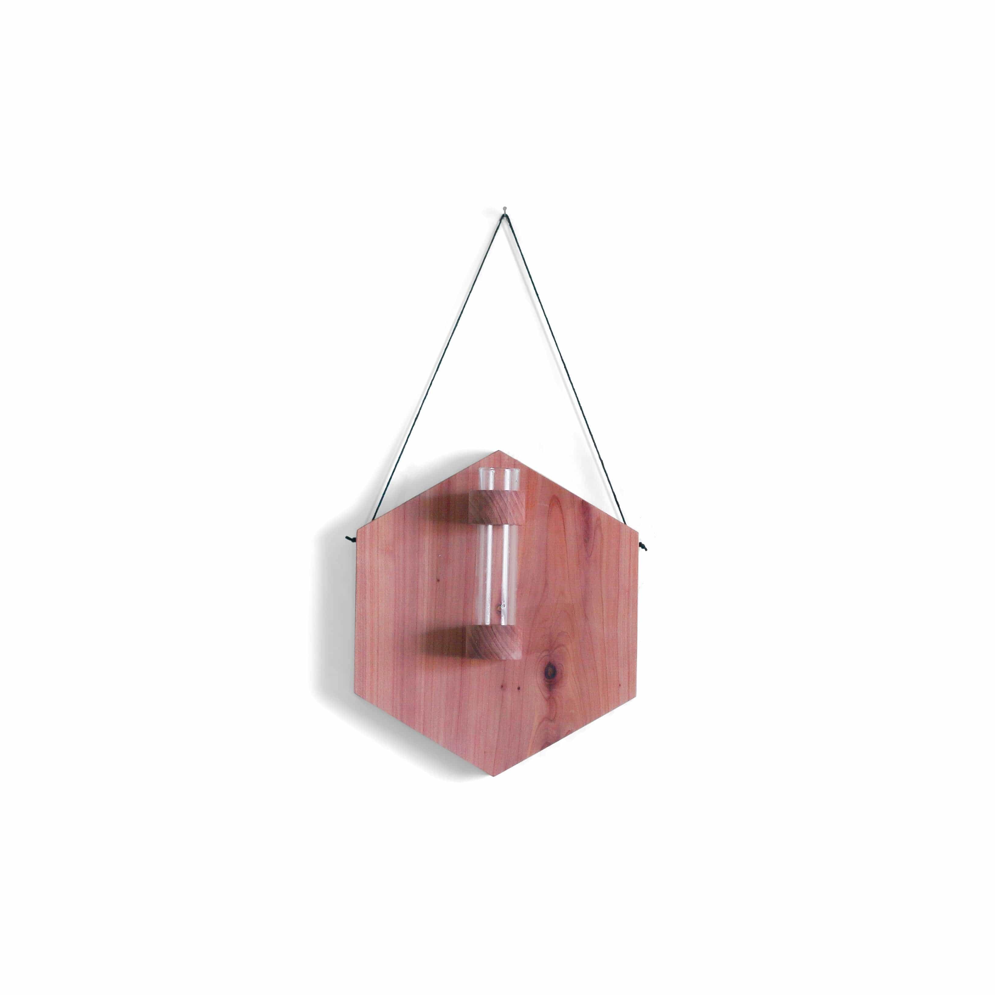 Hexagon Propagation Station With Lavender
