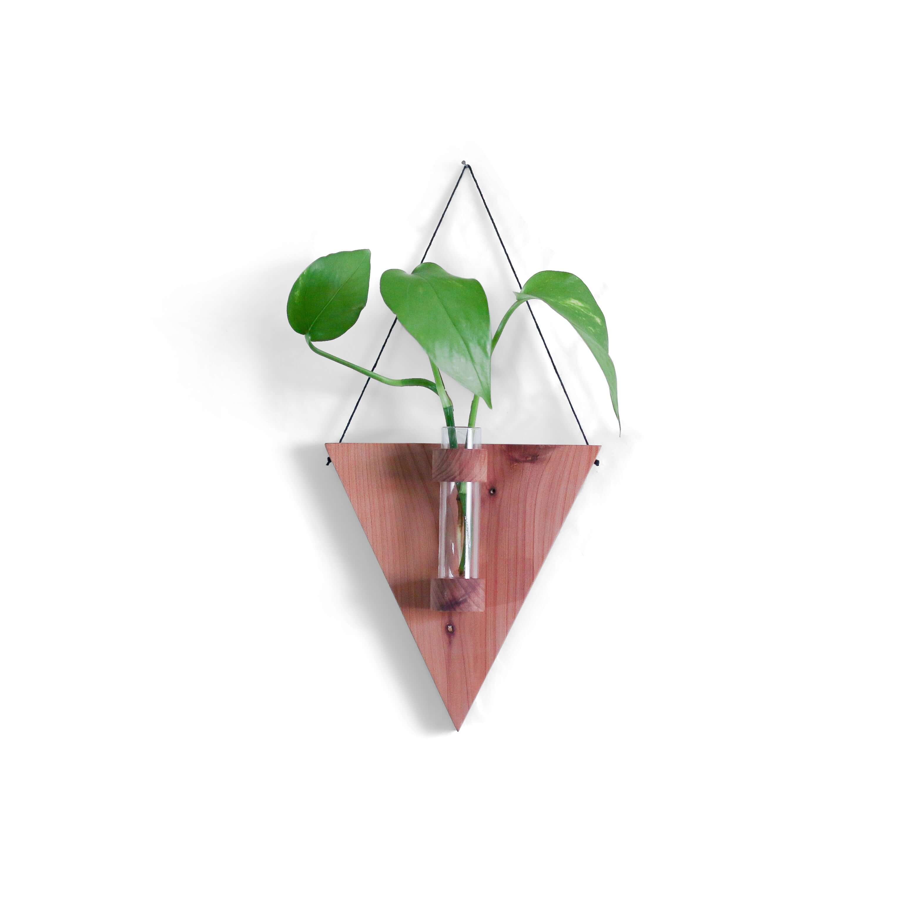 Triangle Propagation Station With Lavender