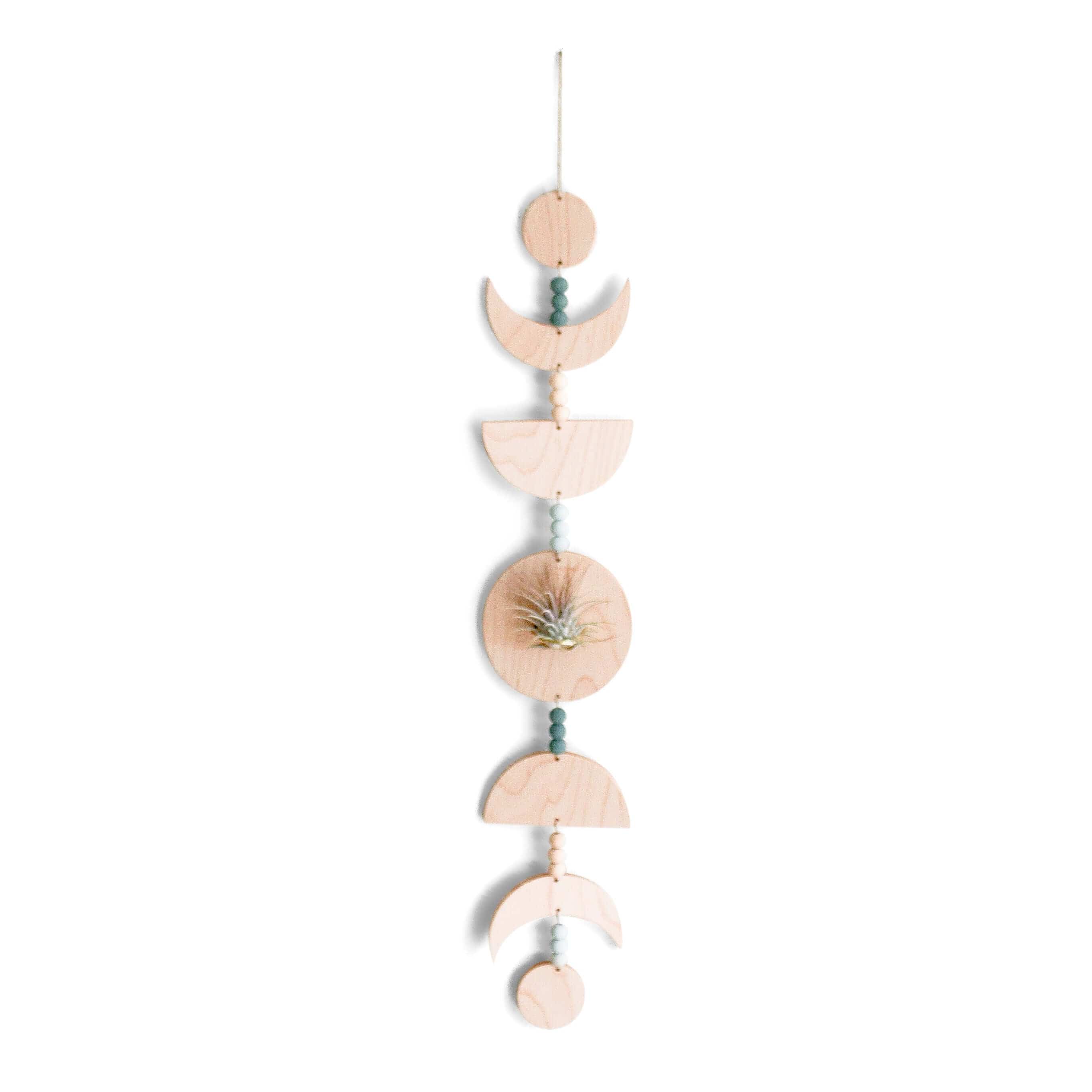 Moon Phases Holder With Air Plant
