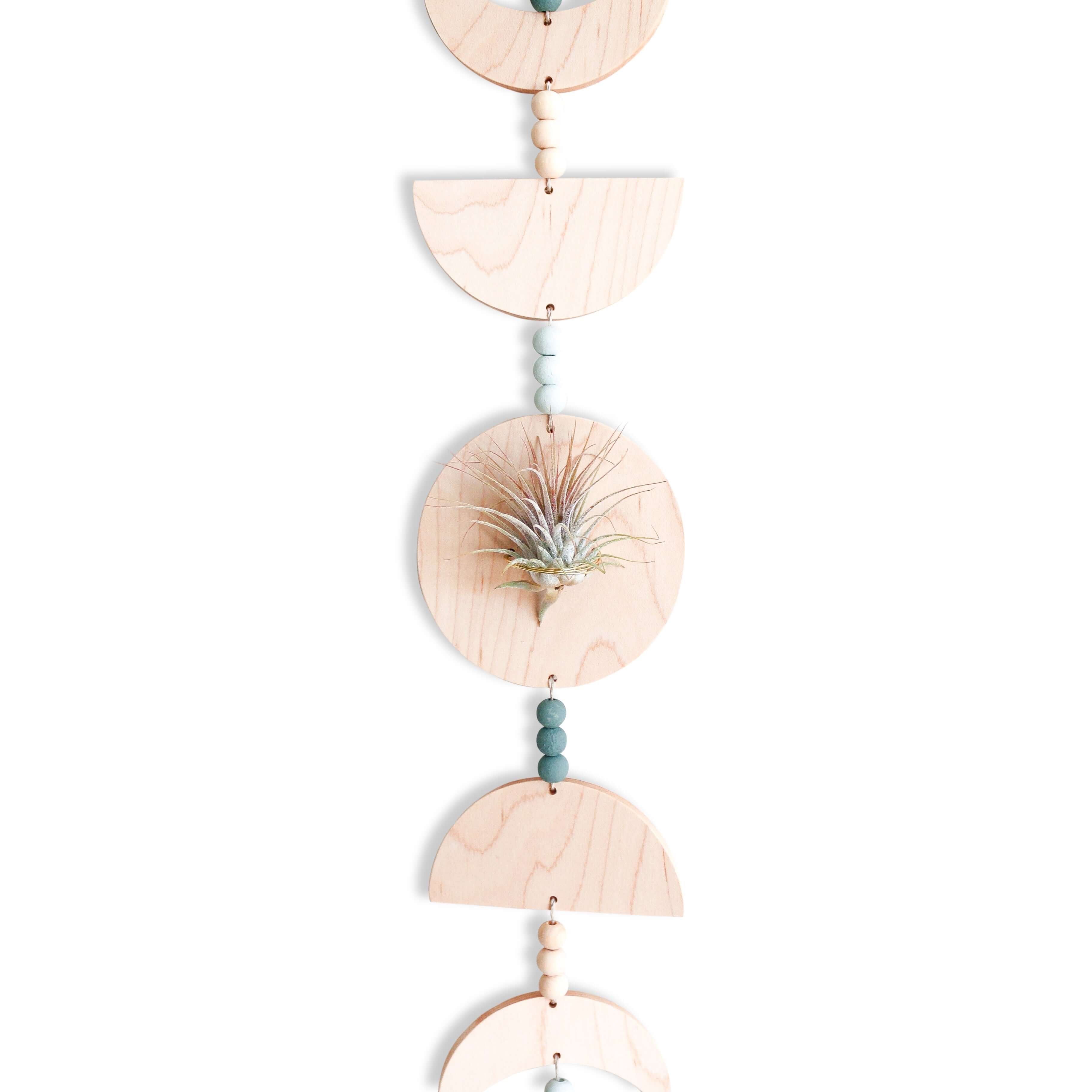 Moon Phases Holder With Air Plant
