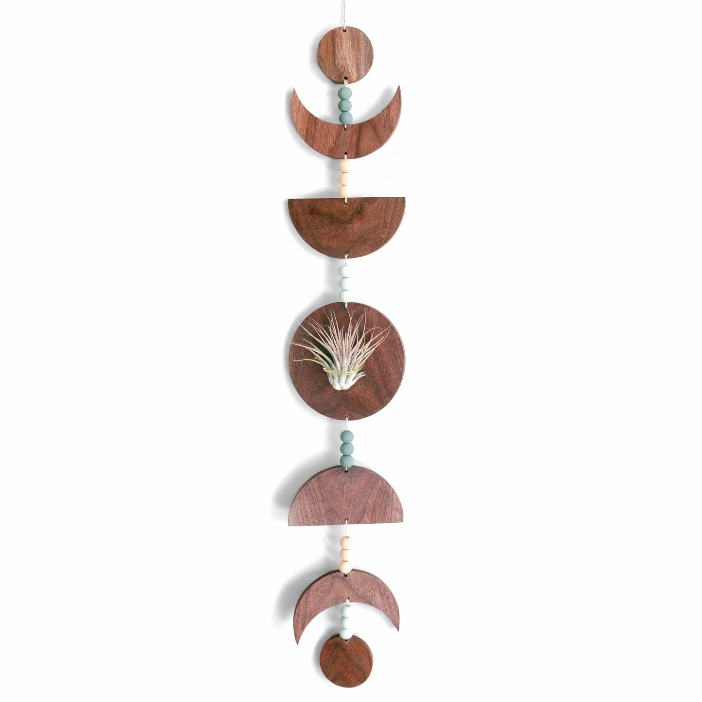 Moon Phases Holder With Air Plant
