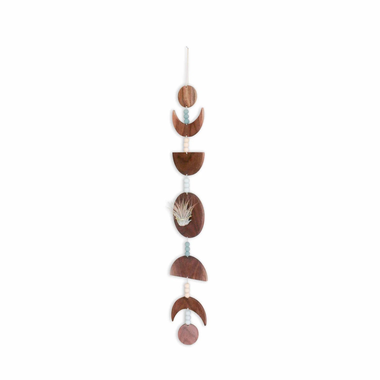 Moon Phases Holder With Air Plant