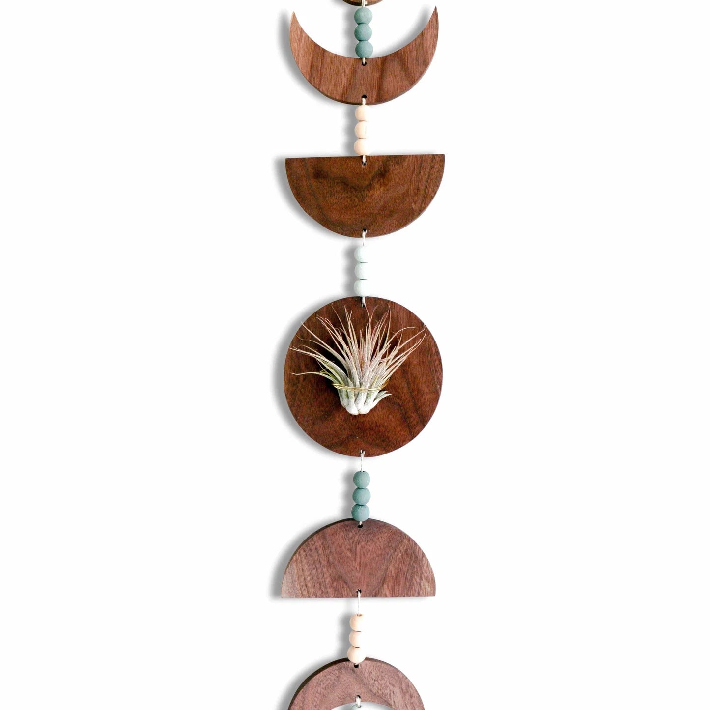 Moon Phases Holder With Air Plant
