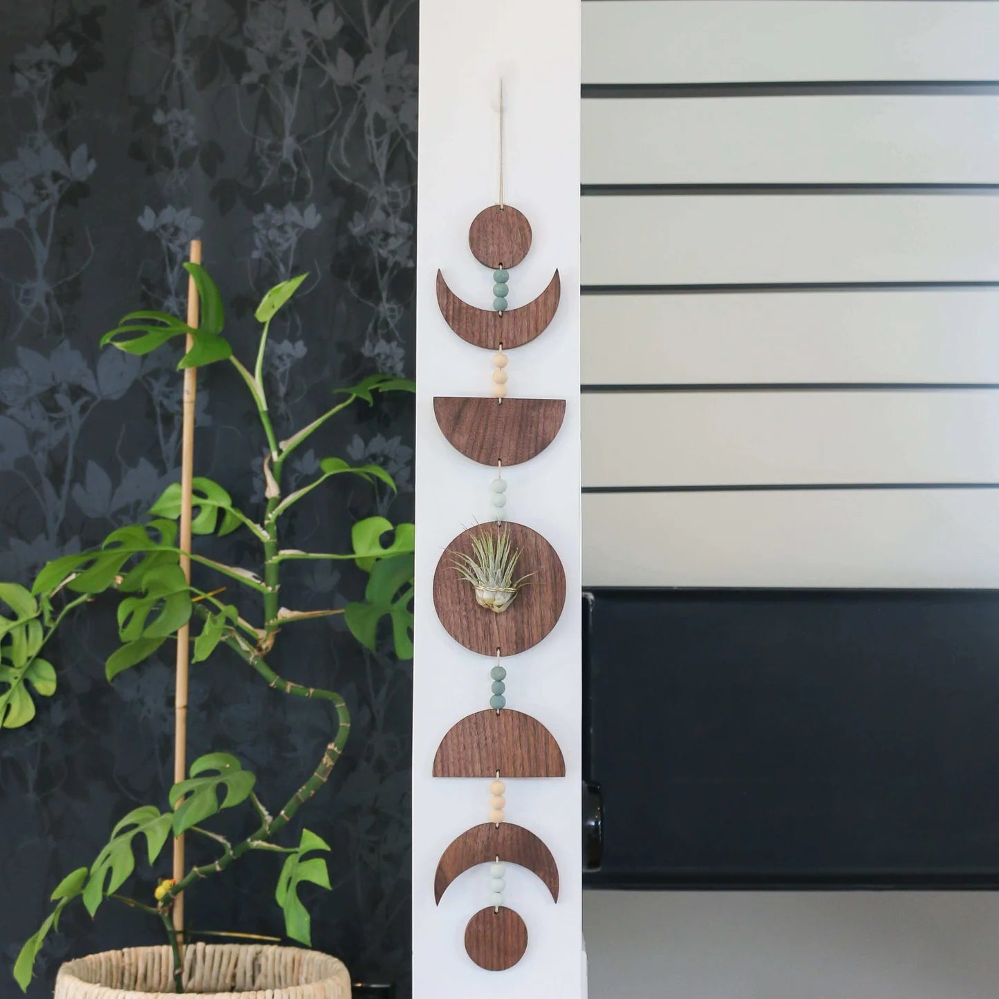 Moon Phases Holder With Air Plant
