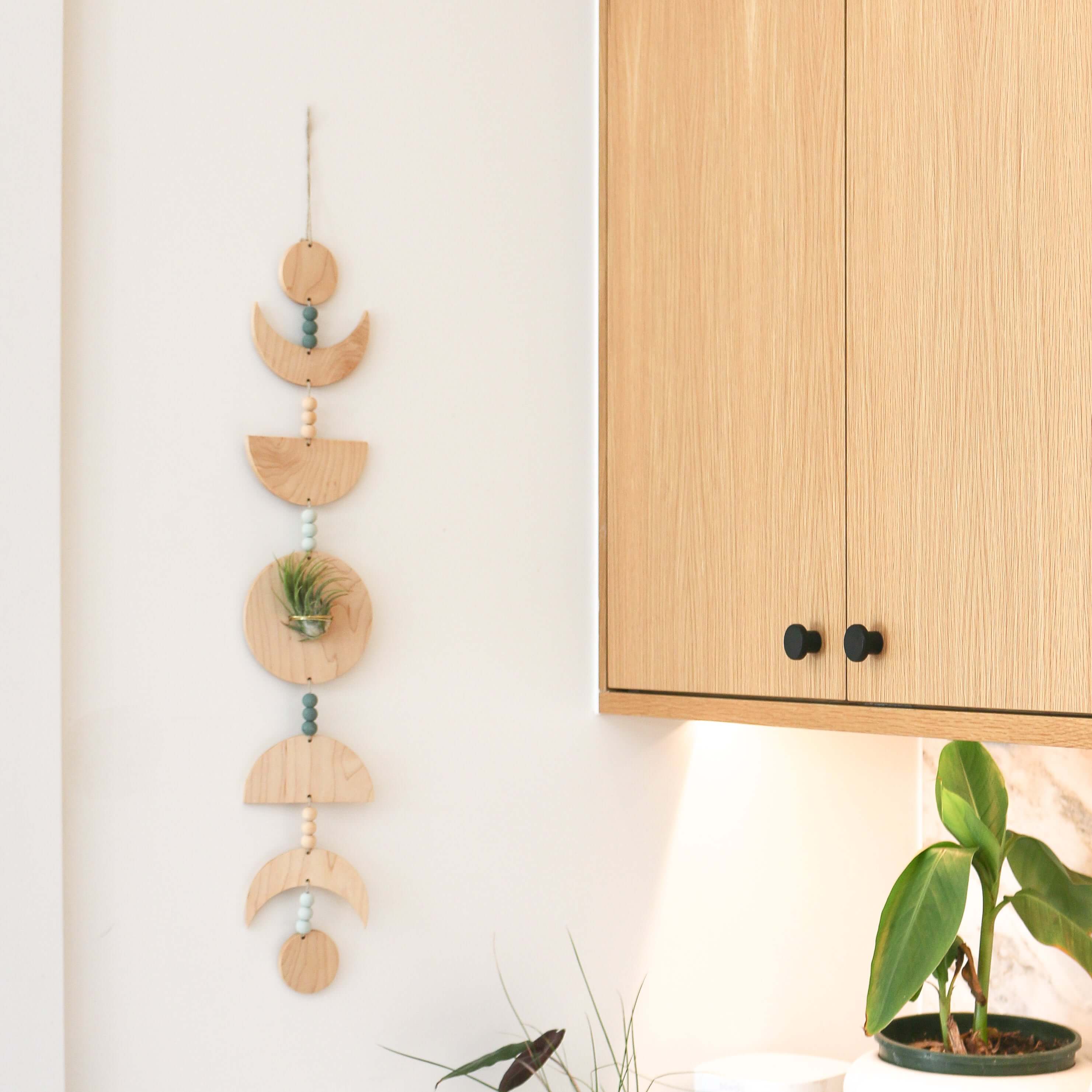 Moon Phases Holder With Air Plant