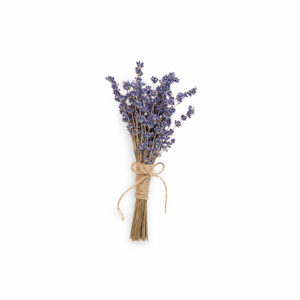 Triangle Propagation Station With Lavender