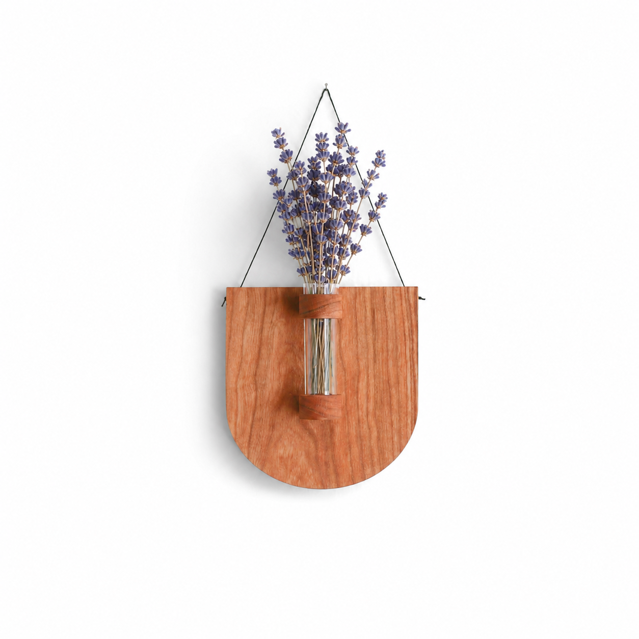 Scoop Propagation Station With Lavender