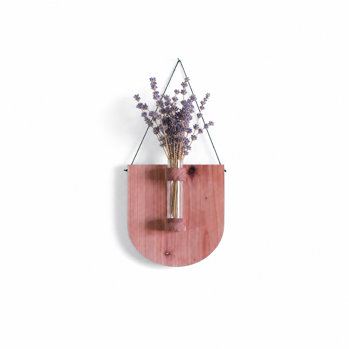 Scoop Propagation Station With Lavender