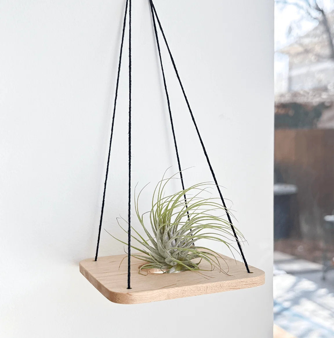 Single Swing With Air Plant