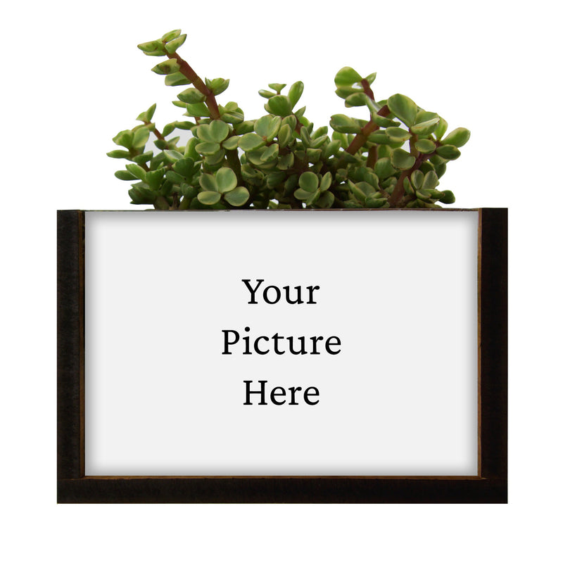 Rectangle Picture Frame Desktop Planter