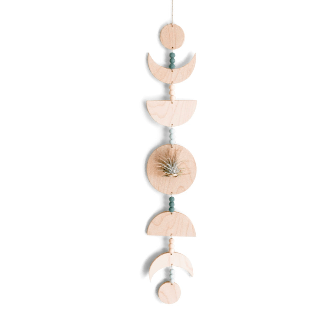 Moon Phases Holder With Air Plant