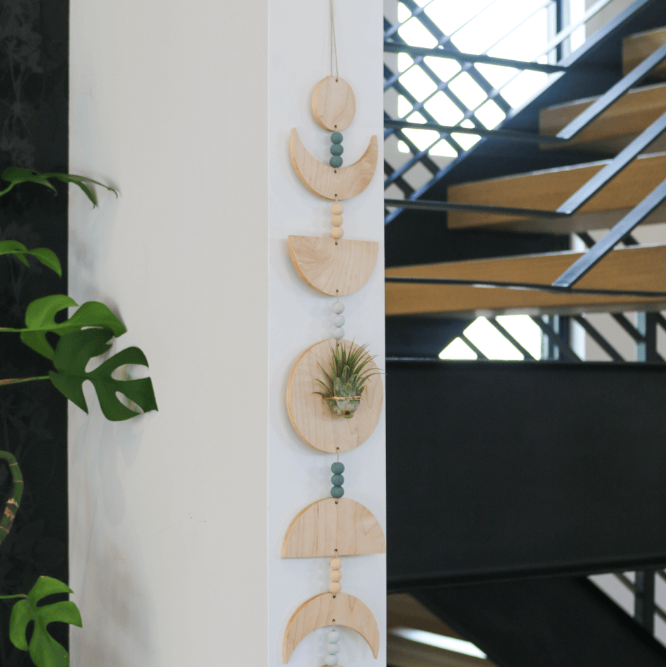 Moon Phases Holder With Air Plant