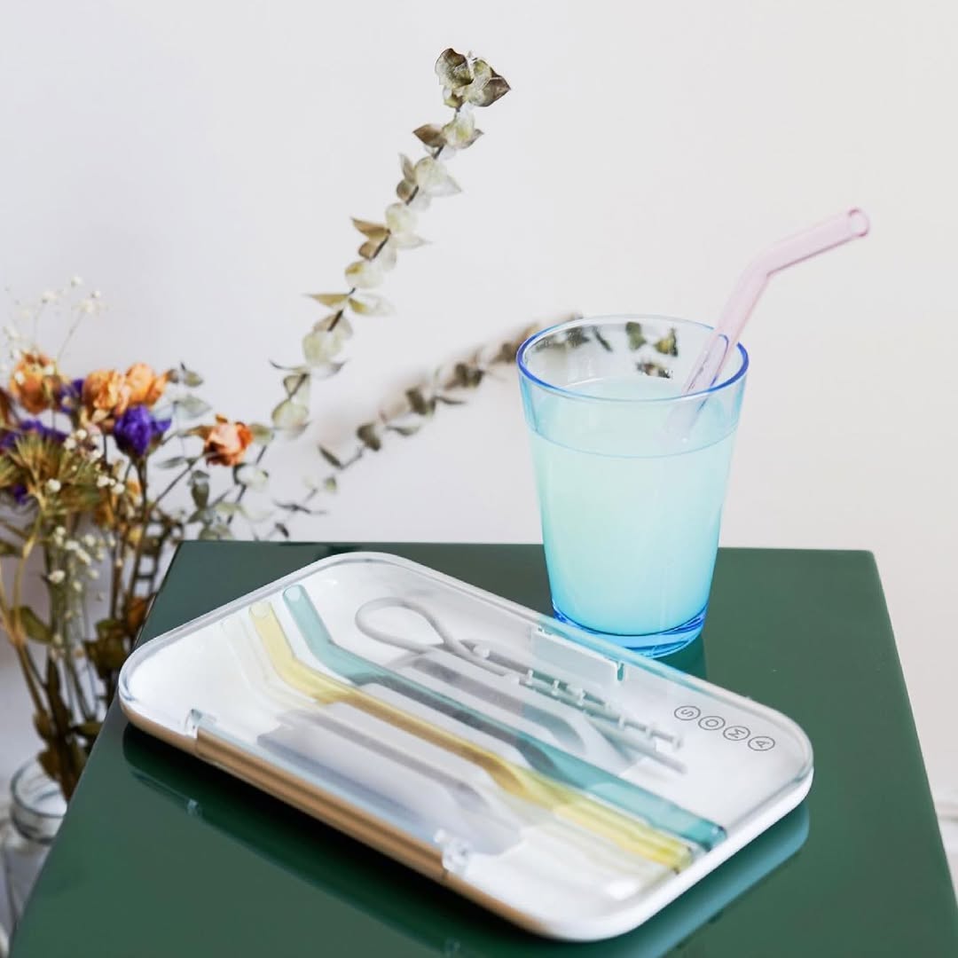 Travel Straw Set of Four