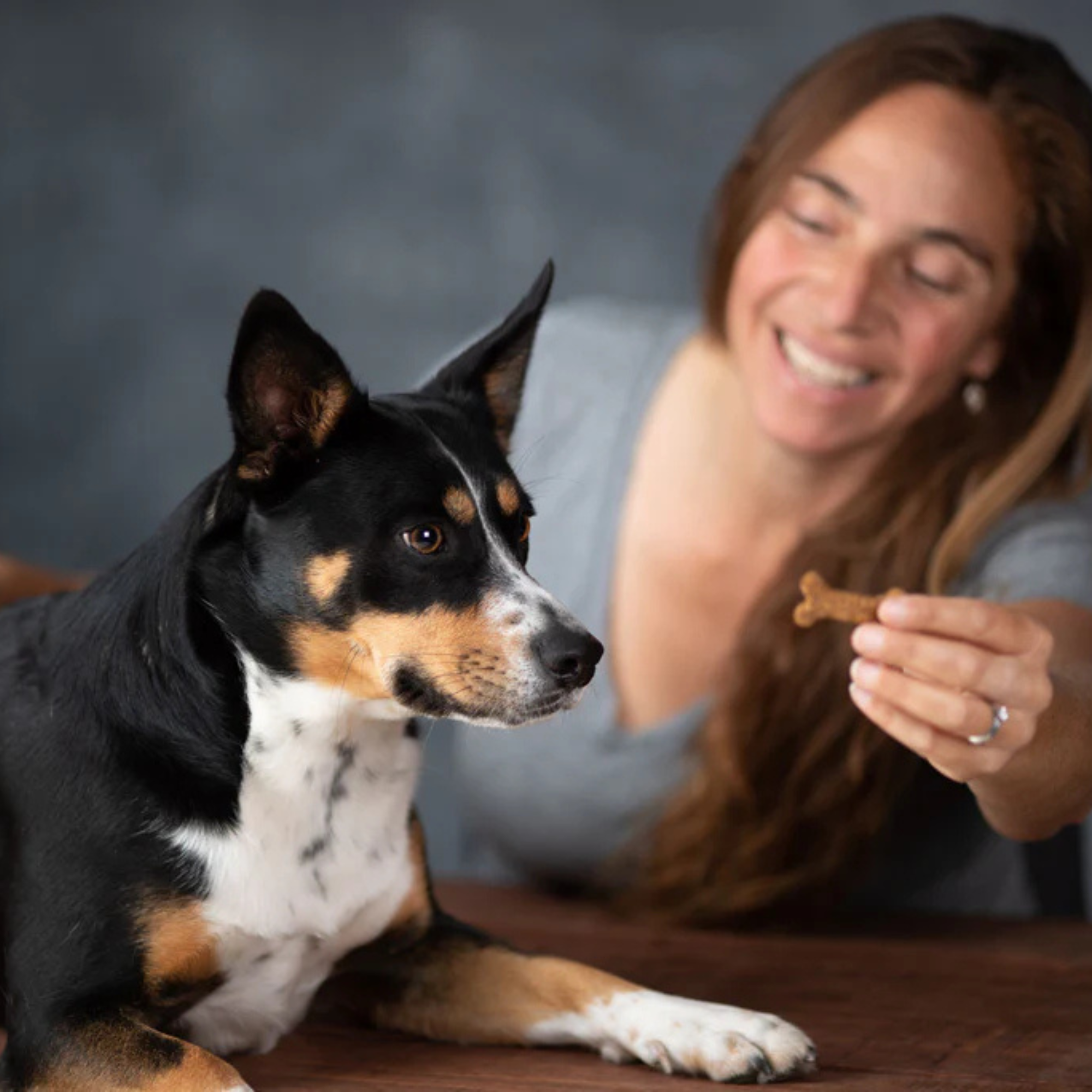 Wagster Twin-Pack Dog Treats