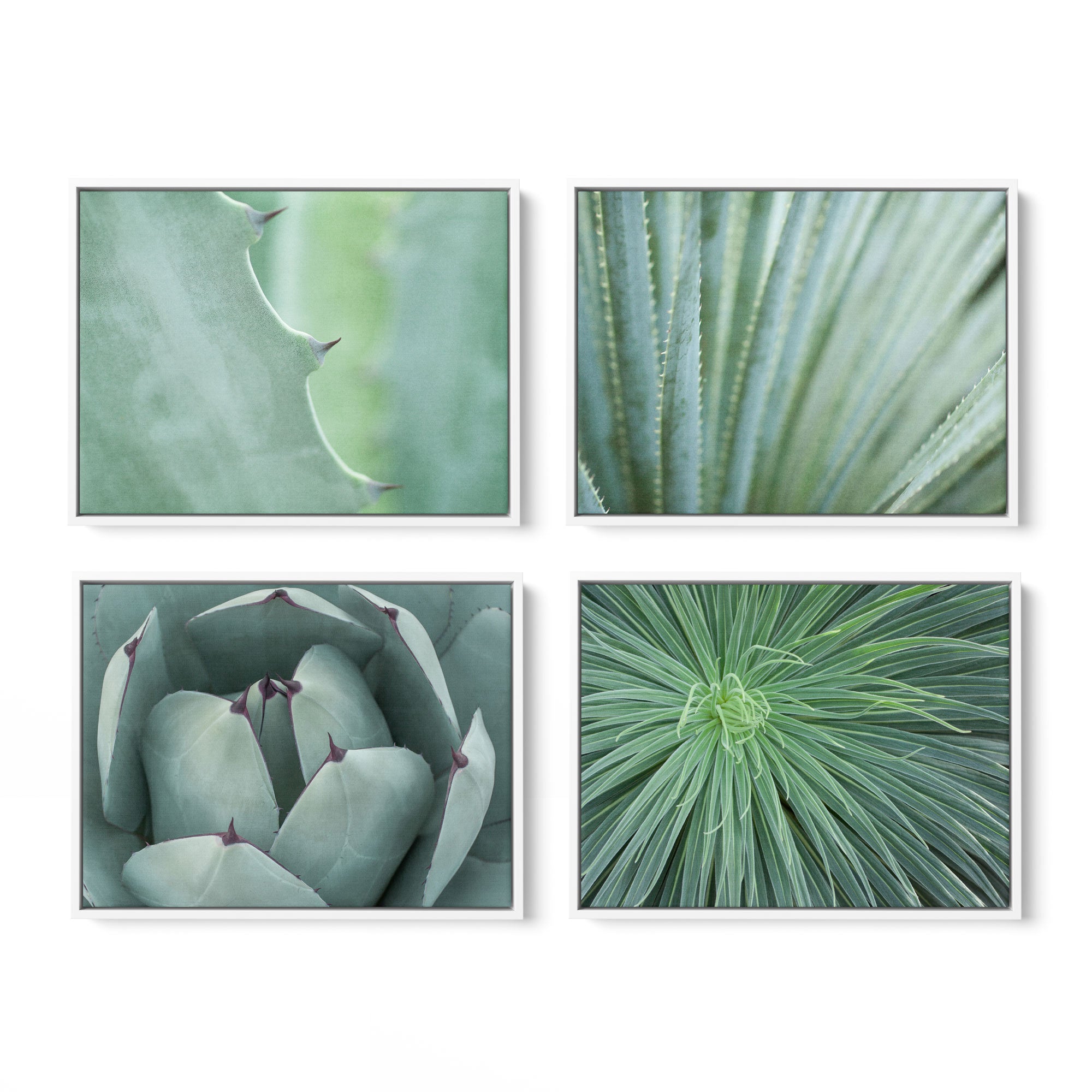 Set of 4 Framed Canvas 24x30 (Choose from multiple combinations)